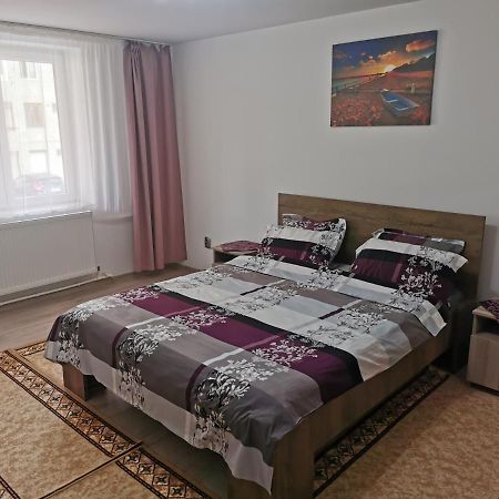 Apartament Bucovina Appartamento Câmpulung Moldovenesc Esterno foto