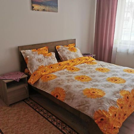 Apartament Bucovina Appartamento Câmpulung Moldovenesc Esterno foto