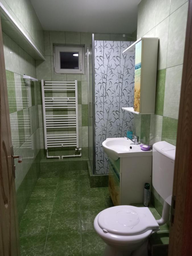 Apartament Bucovina Appartamento Câmpulung Moldovenesc Esterno foto