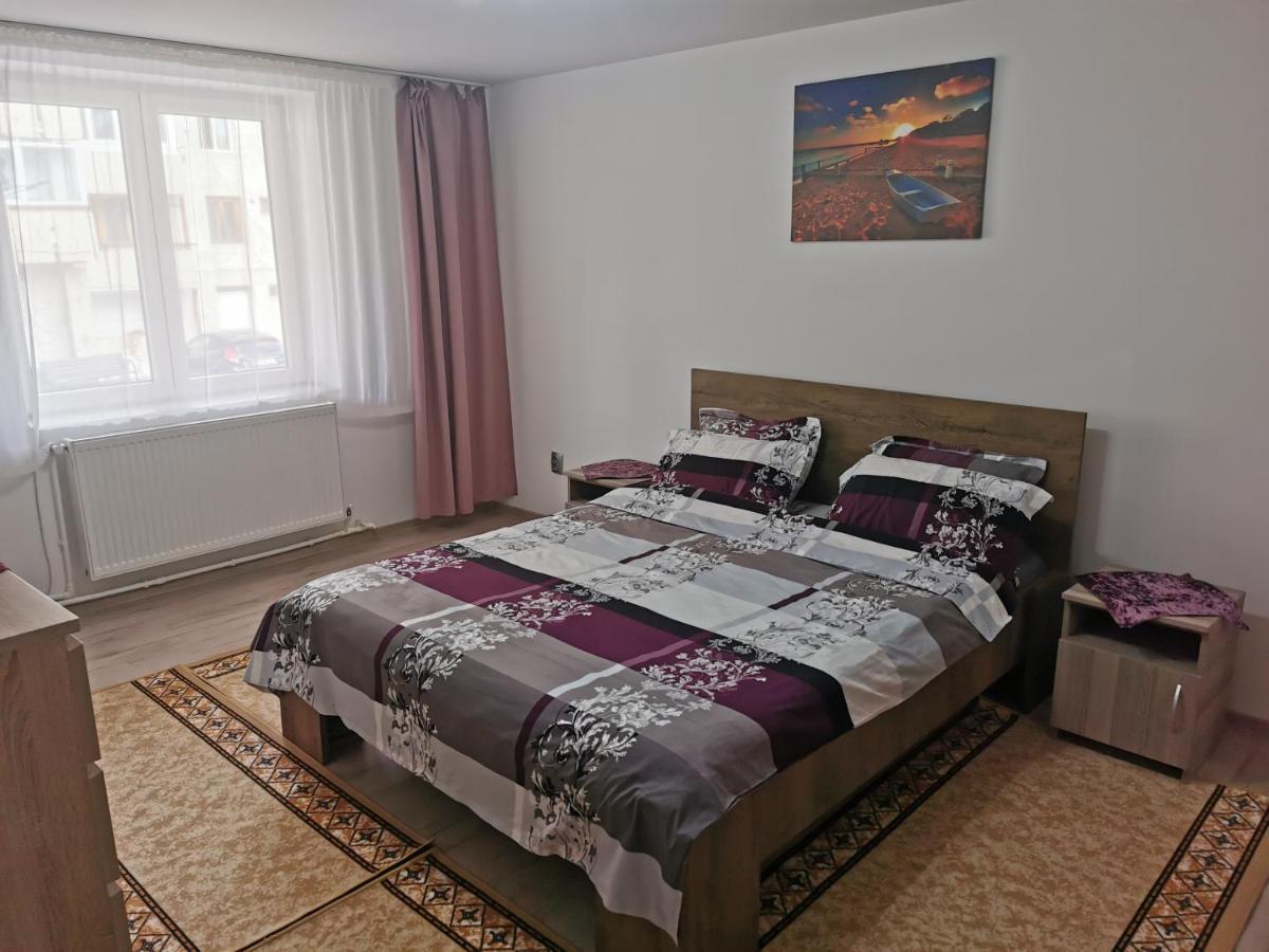 Apartament Bucovina Appartamento Câmpulung Moldovenesc Esterno foto