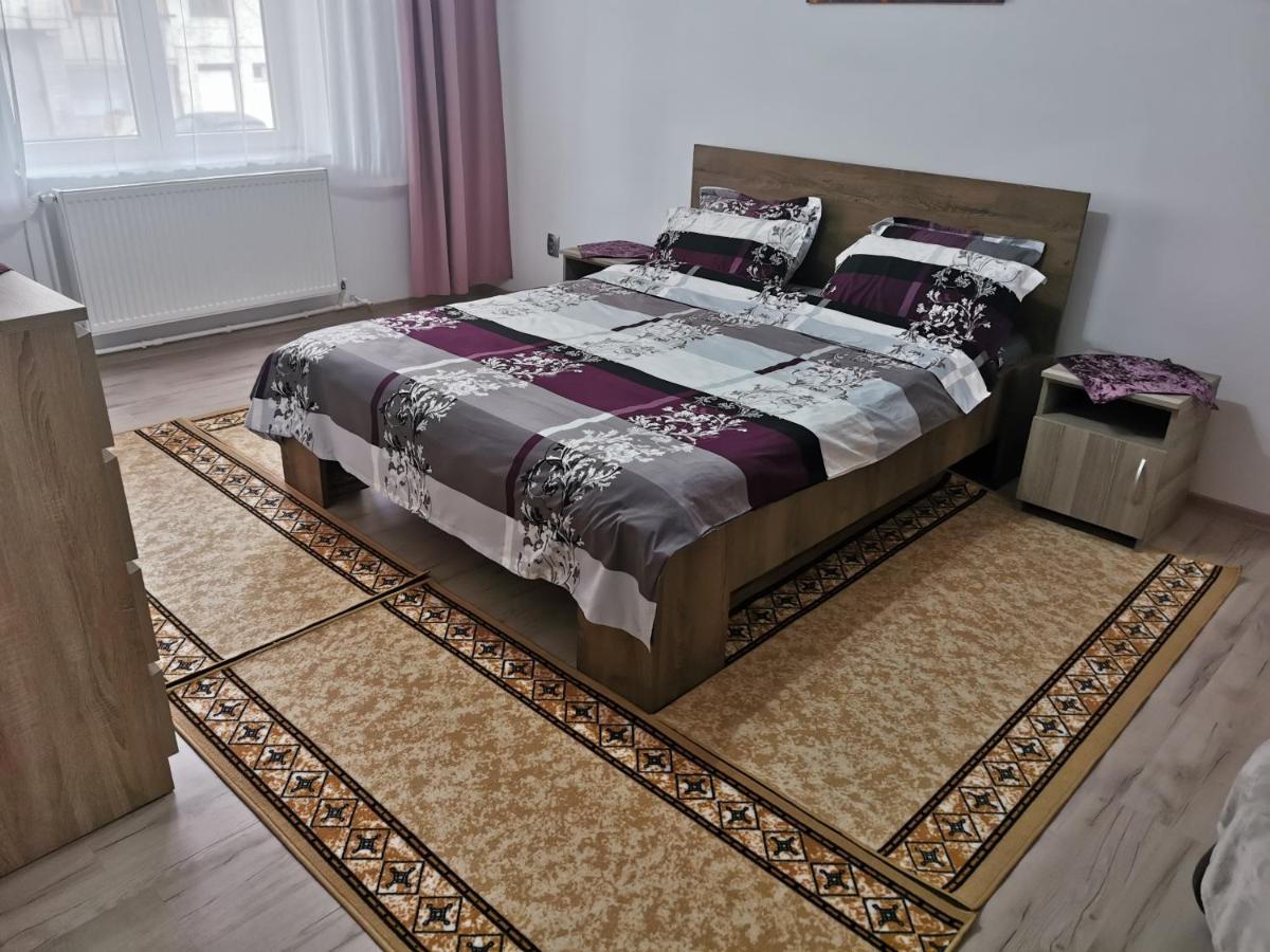 Apartament Bucovina Appartamento Câmpulung Moldovenesc Esterno foto