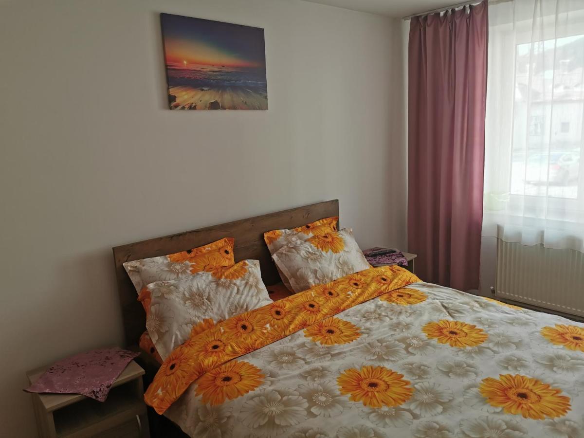 Apartament Bucovina Appartamento Câmpulung Moldovenesc Esterno foto