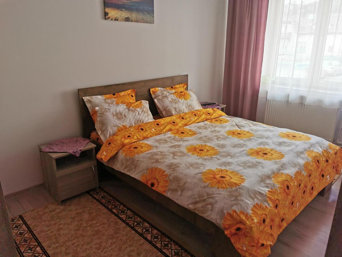 Apartament Bucovina Appartamento Câmpulung Moldovenesc Esterno foto