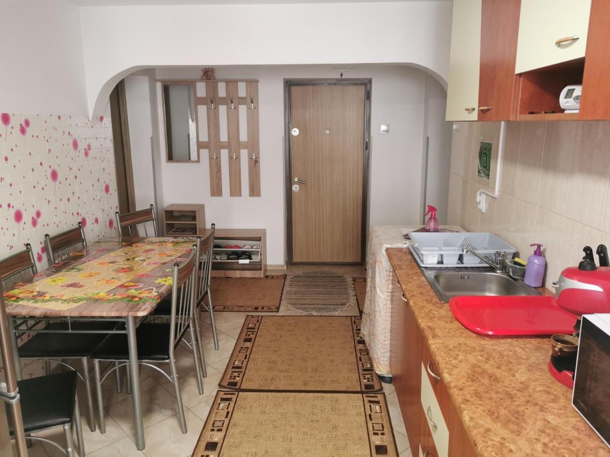 Apartament Bucovina Appartamento Câmpulung Moldovenesc Esterno foto