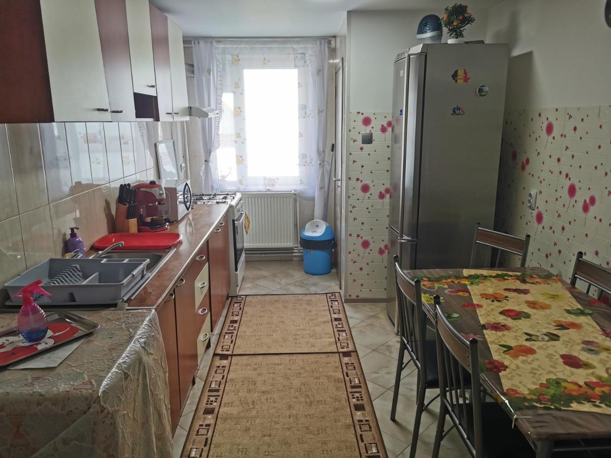 Apartament Bucovina Appartamento Câmpulung Moldovenesc Esterno foto